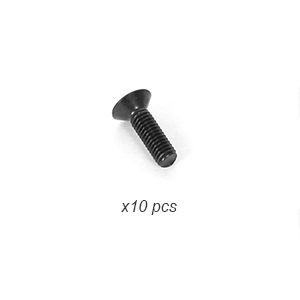 3x10mm Flat Screw (10)