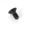 4x8mm Flat Screw (10)